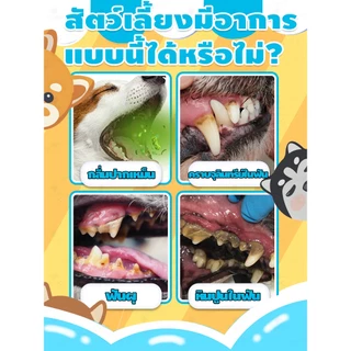 สเปรย์ช่องปากสัตว์เลี้ยง ลดคราบหินปูน สลายหินปูน ลมหายใจสดชื่น เสริมภูมิคุ้มกัน เหมาะสําหรับสุนัขและแมว ไม่ต้องแปรง ปกป้องสุขภาพช่องปากของสัตว์เลี้ยง