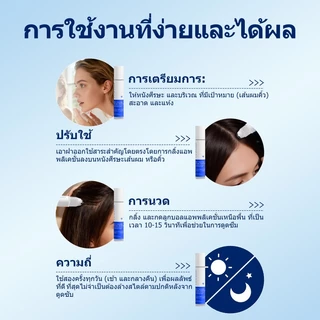 LEWEDO Hair Growth Serum Roll-On 25ml หวีลูกกลิ้งน้ำมันหอมระเหย สารสกัดจากรากโสม ขิงสกัด หวีเซรั่ม