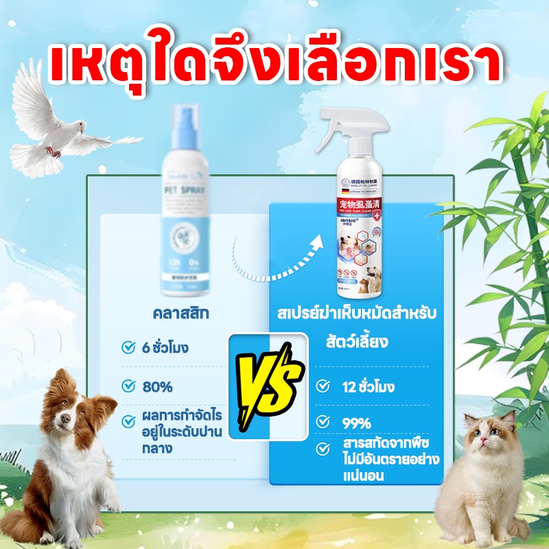 รูปภาพ 2