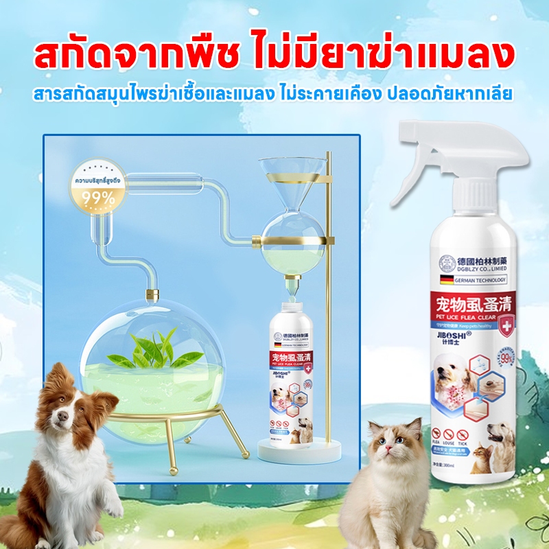 รูปภาพ 3