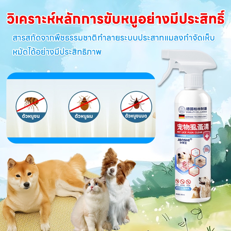 รูปภาพ 4