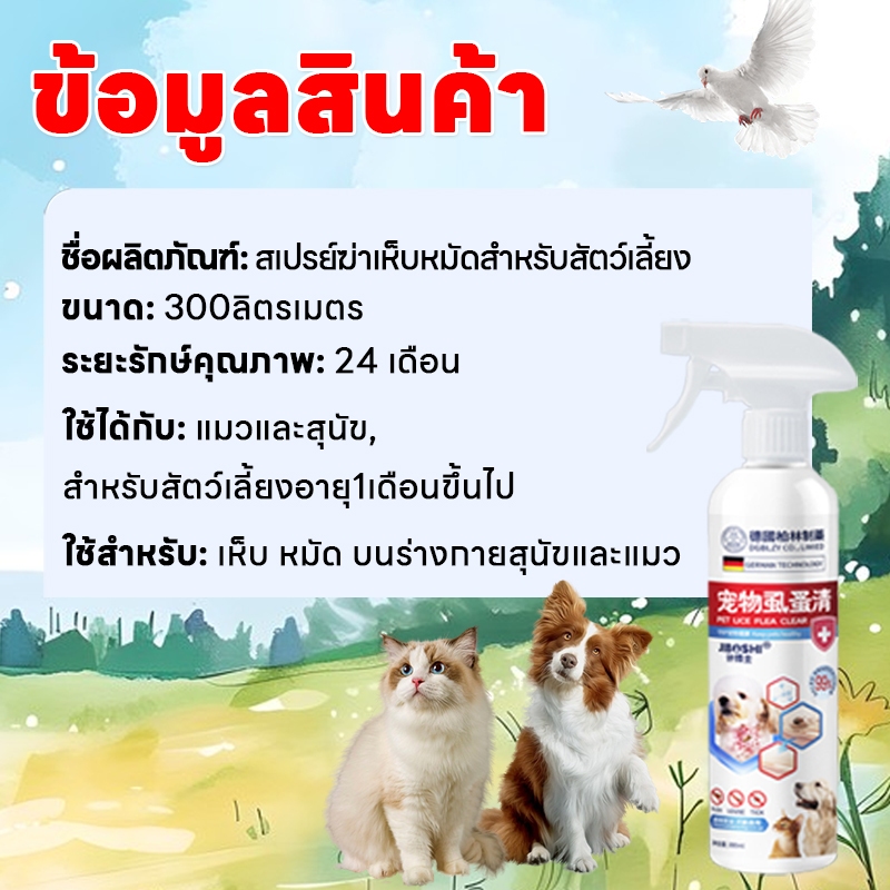 รูปภาพ 8
