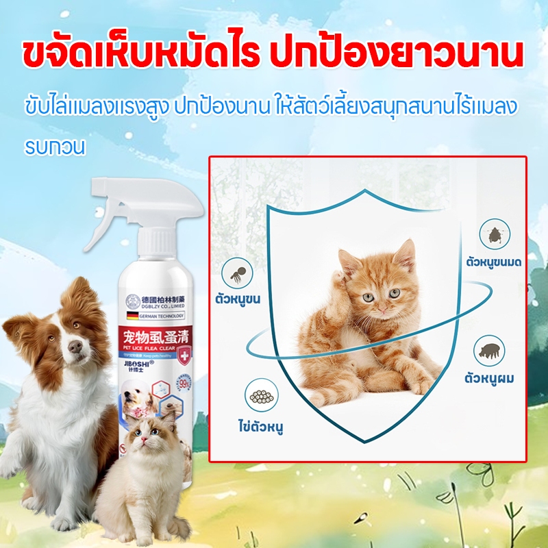 รูปภาพ 5