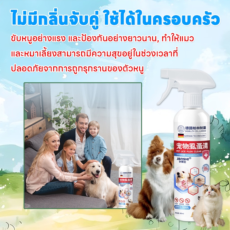 รูปภาพ 7