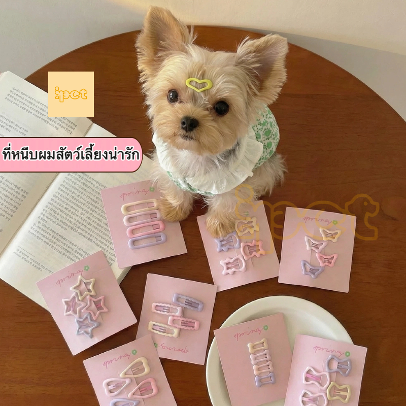 กิ๊บติดขนสัตว์เลี้ยง น่ารัก 🐶🐱 กิ๊บเก็บไรผม/เก็บหน้าม้า สำหรับหมาแมว ชิสุ มอลทีส ยอร์คเชียร์
