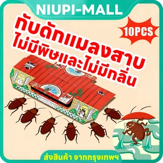 ส่งสินค้าในวันเดียวกัน ดักสาบ ยาสาบ แมลงสาป ฆ่าสาบ ยาฆ่าแมงสาบ บ้านแมลงสาบ ไล่แมลงสาบ