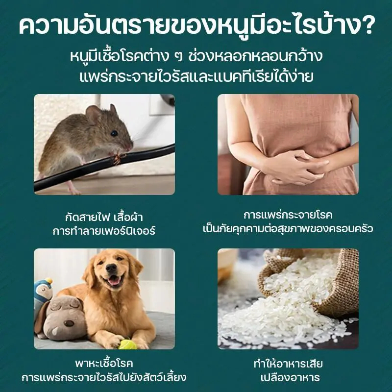 10 แพ็ค ยากําจัดหนูสมุนไพร เจลกําจัดหนูในรถ รูปที่ 2