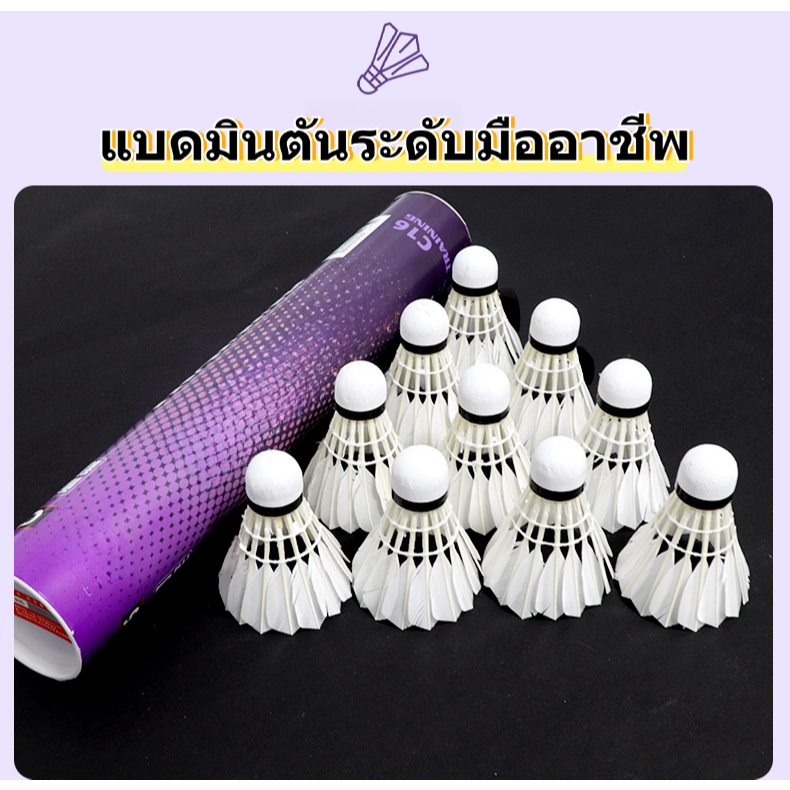 แบดมินตันระดับมืออาชีพ,ขนห่านที่มีคุณภาพสูง,การฝึกอบรมนักกีฬาเฉพาะ,แบดมินตันพิเศษสำหรับการแข่งขัน
