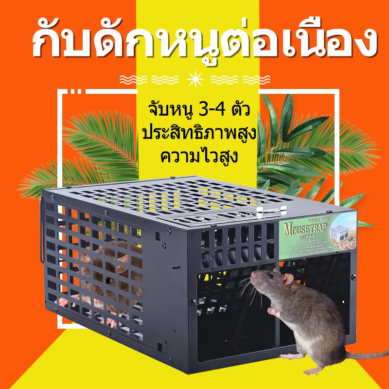 ⚡️สินค้าพร้อมส่ง⚡️กับดักหนูแบบหลายกรงประสิทธิภาพสูง รุ่น 2026 กับดักและกำจัดหนูทรงพลัง ป้องกันสนิม ผ่านมาตรฐาน COD