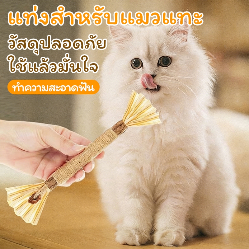 ไม้แมวเมา ไม้มาทาทาบิ ขัดฟันแมว ไม้ขัดฟัน ลดคราบหินปูน ของเล่นแมว ไม้แปรงฟันแมว เหมาะสำหรับแทะกัญชาแมว