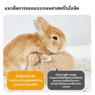 15ซม ของเล่นกระต่าย, ลูกบอลบรรเทาความเครียด สำหรับกระต่ายคนแคระและกระต่ายผสม, การออกแบบกรงเล็บบด Yee