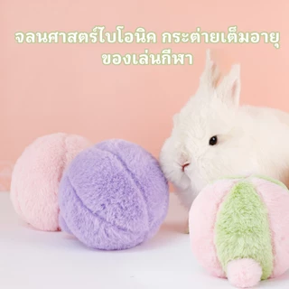 15ซม ของเล่นกระต่าย, ลูกบอลบรรเทาความเครียด สำหรับกระต่ายคนแคระและกระต่ายผสม, การออกแบบกรงเล็บบด Yee