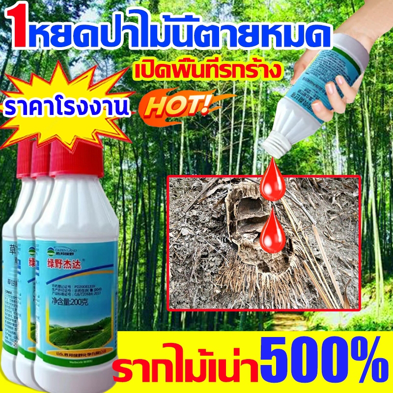 💥1หยดรากเน่า💥ยาฆ่าไผ่ เข้มข้นมาก 200ML 1ขวดเท่ากับ50ขวด ยาฆ่ากอไผ่ กำจัดต้นไม้และไผ่ให้หมดจดวัชพื ตรงไปที่ราก สารกําจัดกอไผ่ รากไม้เน่า ยาฆ่าตอไม้ ยาฆ่าไม้ไผ่ ยาฆ่าต้นไม้ใหญ่ ยากําจัดต้นไม้ใหญ่ ยาฆ่าหญ้า ยาฆ่าต้นไผ่