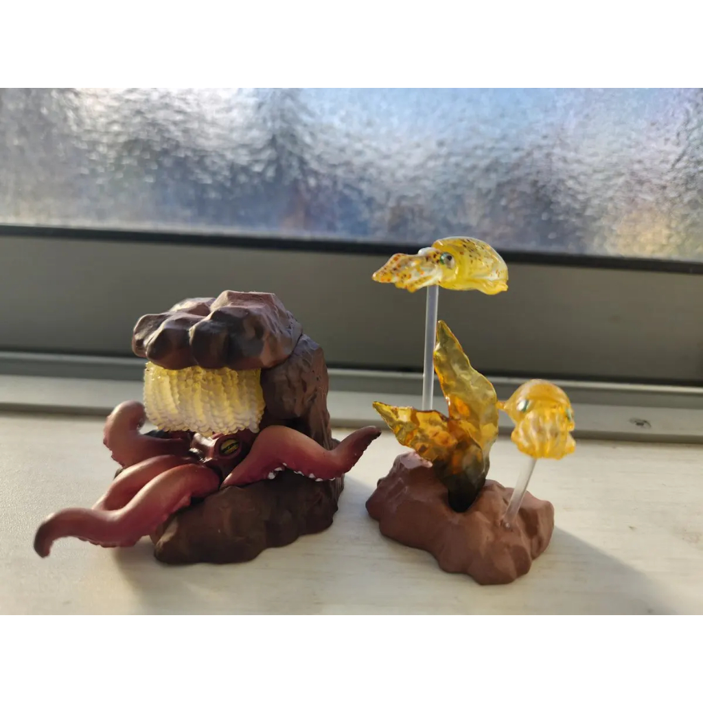 Stasto ของแท้จากญี่ปุ่นของเล่นแคปซูล ฟิกเกอร์ปลาหมึกยักษ์ 3 มิติ ของเล่นปลาหมึก สัตว์ทะเล ของประดับ‌ - รูปที่ 5