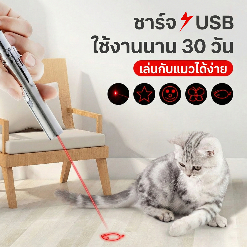 [พร้อมส่ง] เลเซอร์แมว 4 in 1 ชาร์จ USB ไม่ต้องใส่ถ่าน! ไฟฉาย+UV ตรวจเชื้อรา ของเล่นแมว สแตนเลสทนทาน ราคา ถูกที่สุด ดีลบีเคเค แกลเลอรีภาพที่ 8