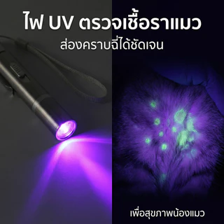 [พร้อมส่ง] เลเซอร์แมว 4 in 1 ชาร์จ USB ไม่ต้องใส่ถ่าน! ไฟฉาย+UV ตรวจเชื้อรา ของเล่นแมว สแตนเลสทนทาน