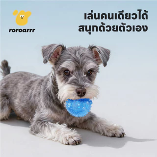 【Roroarrr】⚡ทีพีอาร์ ปลอดภัยปลอดสารพิษ⚡ของเล่นลูกบอลทําความสะอาดฟันสุนัข • การออกแบบชนที่ทนต่อการสึกหรอสูงทนต่อการกัดนวดลึกนุ่มยืดหยุ่นสูงไม่มีแผลสะอาดด้วยน้ํา