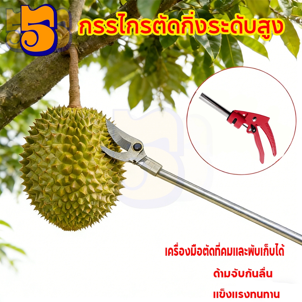 การเก็บผลไม้ เก็บผลไม้ได้ง่ายมาก กรรไกรตัดผลไม้ กรรไกรตัดหนีบผลไม้ด้ามยาว กรรไกรตัดกิ่ง ด้ามสแตนเลส ตัดแต่งกิ่งไม้สูง