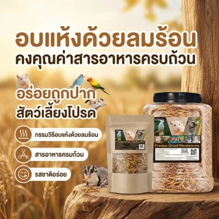 PETLUSCI® ผงหนอนนก หนอนอาหาร หนอนอบแห้ง อาหารหนูแฮมเตอร์ hamster โปรตีนสูง อาหารนก เต่า ขนาด 1300ml
