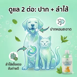 น้ำยาดับกลิ่นปาก น้ำยาบ้วนปาก หมาแมว ผสมน้ำกินได้ ไม่ต้องแปรงฟัน ลดคราบเหลือง ลดหินปูน ลมหายใจสดชื่น ธรรมชาติ ปลอดภัย 300ml