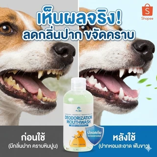 น้ำยาดับกลิ่นปาก น้ำยาบ้วนปาก หมาแมว ผสมน้ำกินได้ ไม่ต้องแปรงฟัน ลดคราบเหลือง ลดหินปูน ลมหายใจสดชื่น ธรรมชาติ ปลอดภัย 300ml