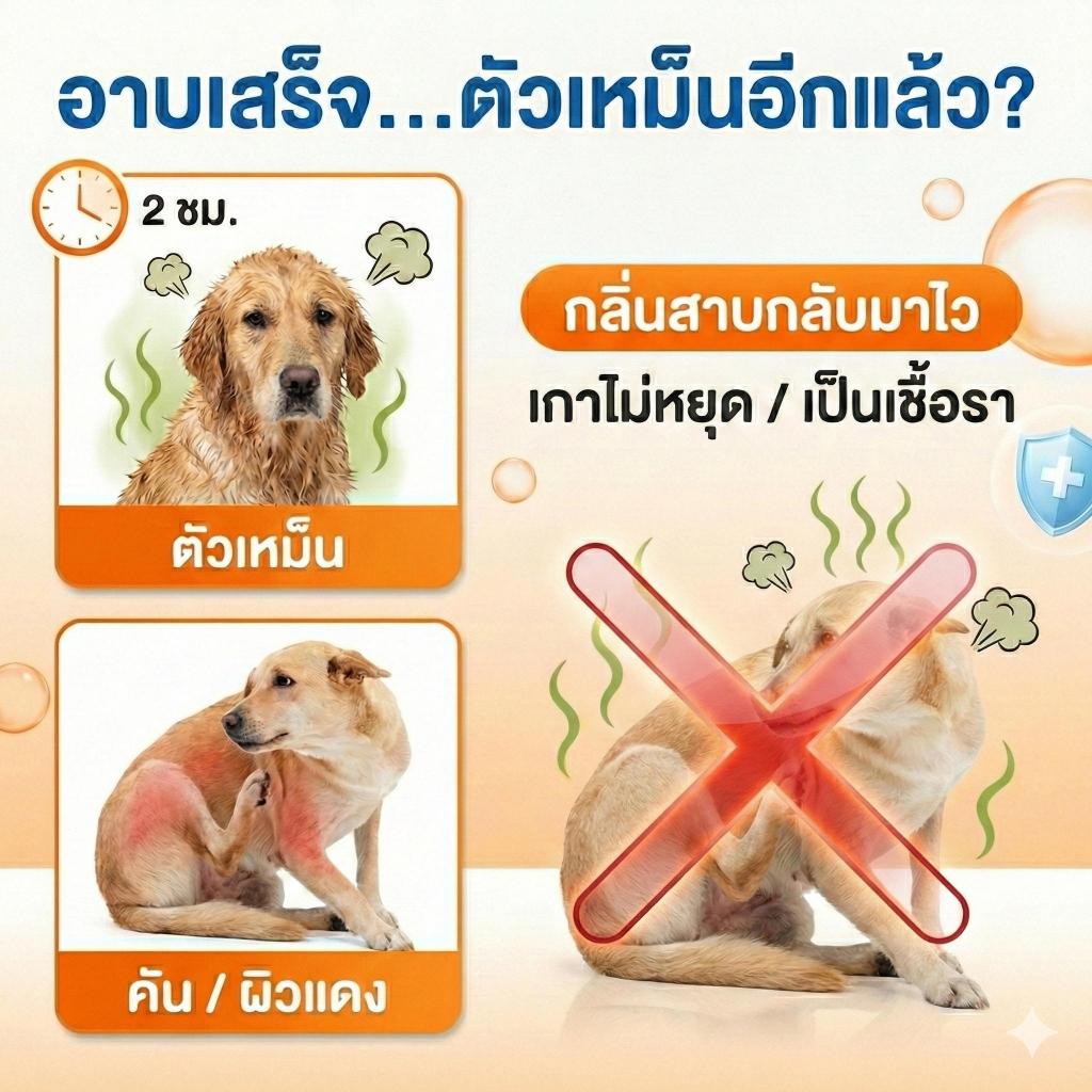แชมพูหมาแมว ดับกลิ่นสาบ ลดแบคทีเรีย สะอาดล้ำลึก กำจัดไรเห็บหมัด แก้คัน ขนฟูนุ่มลื่น หอมนาน สูตร Amino Acid อ่อนโยน ปลอดภัย 500ml รูปที่ 9