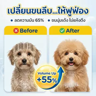 แชมพูหมาแมว สูตร Amino Acid คุมมันล้ำลึก ลดรังแค กำจัดไรเห็บหมัด ขนฟูสวยเงางาม หอมนาน อ่อนโยน ปลอดภัย 500ml