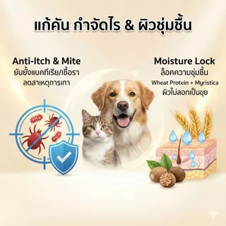 แชมพูหมาแมว สูตร Amino Acid คุมมันล้ำลึก ลดรังแค กำจัดไรเห็บหมัด ขนฟูสวยเงางาม หอมนาน อ่อนโยน ปลอดภัย 500ml
