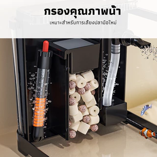 ตู้ปลา การกรองกระแสด้านข้าง ภูมิทัศน์เชิงนิเวศน์ พิพิธภัณฑ์สัตว์น้ำขนาดใหญ่ อุปกรณ์เสริมที่สมบูรณ์