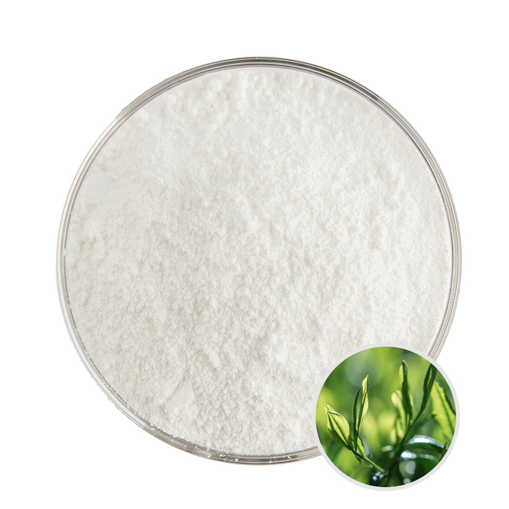 อาหารคุณภาพสูงอาหารเสริม L-theanine Powder Cas 3081-61-6 98% L-theanine