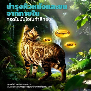 SEPAW Wilder Feast อาหารแมว รสแซลมอน ไร้ธัญพืช 【1kg】 โปรตีนสูง35% โปรตีนเนื้อ 90% ฟรีซดราย 10% เหมาะกับแมวทุกวัย