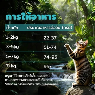 SEPAW Wilder Feast อาหารแมว รสแซลมอน ไร้ธัญพืช 【1kg】 โปรตีนสูง35% โปรตีนเนื้อ 90% ฟรีซดราย 10% เหมาะกับแมวทุกวัย