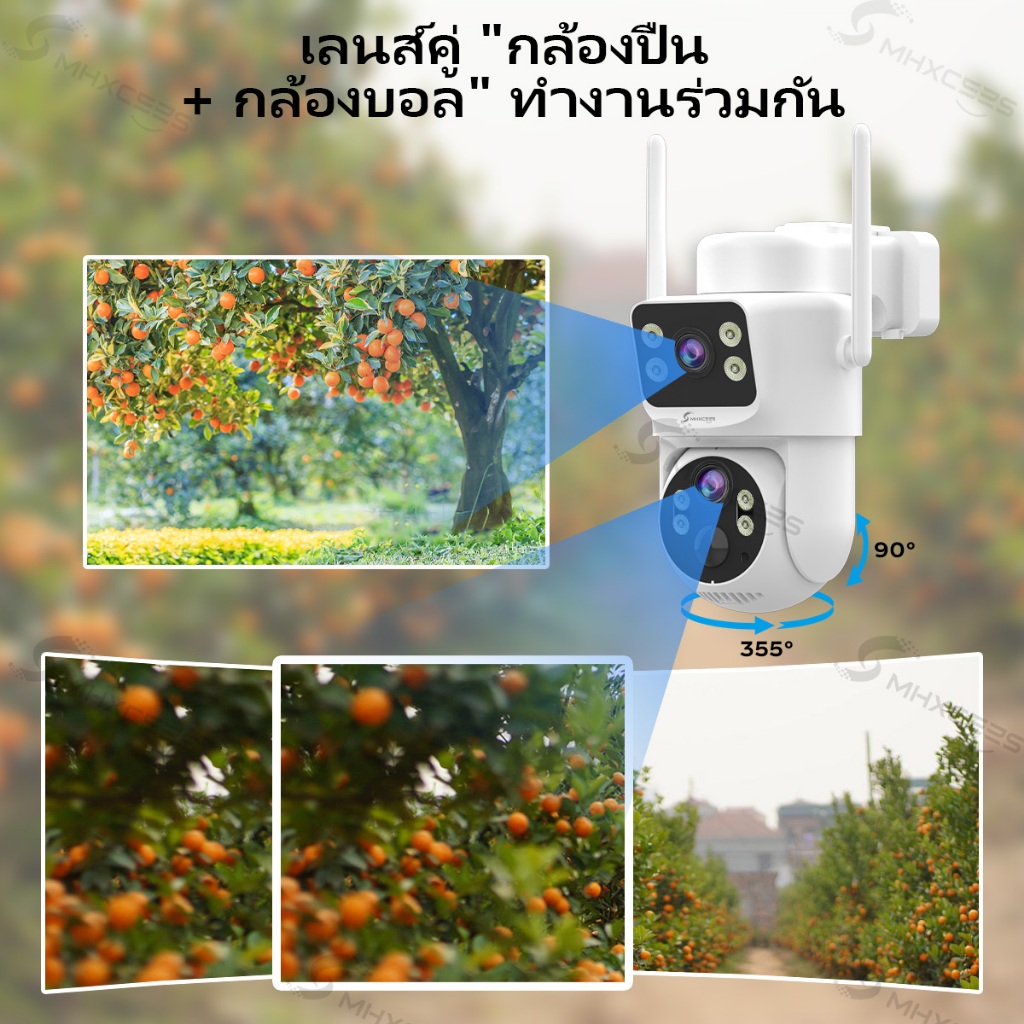 รูปภาพ 7