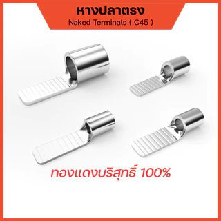 A&D หางปลาต่อเบรกเกอร์ แบบเปลือย รุ่น C45 สำหรับสายไฟ 1.5/2.5/4/6/10/16/25~70mm2