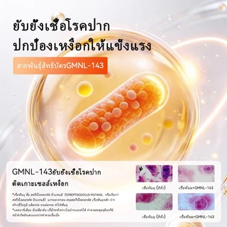 Kissport Ejection Probiotic Candy Lozenges กล่องของขวัญของขวัญวันหยุดปฏิบัติเพื่อสุขภาพลมหายใจสดชื่นยาวนาน