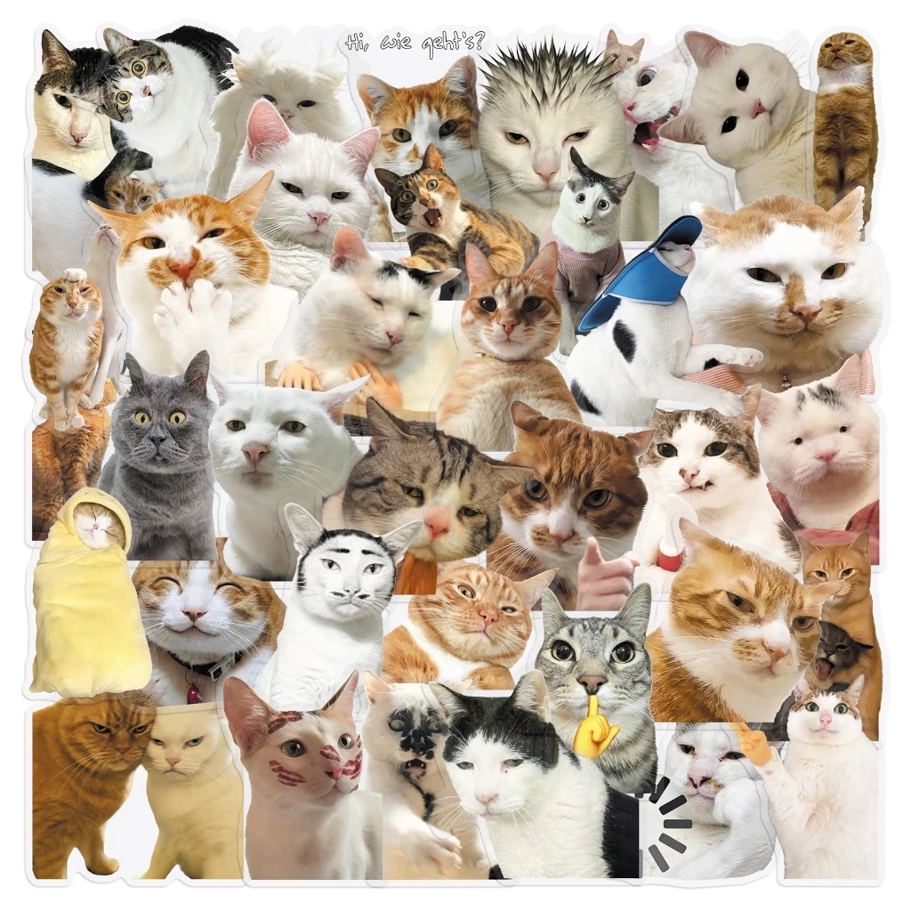 ตลก 50pcs Hakimi meme Cat สติกเกอร์โปร่งใสกันน้ําสําหรับ Tumbler แล็ปท็อปเคสโทรศัพท์รถสติกเกอร์ Graffiti Creative DIY