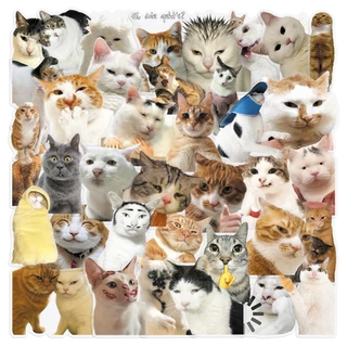 ตลก 50pcs Hakimi meme Cat สติกเกอร์โปร่งใสกันน้ําสําหรับ Tumbler แล็ปท็อปเคสโทรศัพท์รถสติกเกอร์ Graffiti Creative DIY