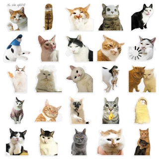 ตลก 50pcs Hakimi meme Cat สติกเกอร์โปร่งใสกันน้ําสําหรับ Tumbler แล็ปท็อปเคสโทรศัพท์รถสติกเกอร์ Graffiti Creative DIY