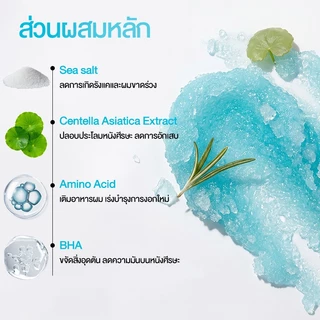 สครับหนังศีรษะ 300มล. กระตุ้นผมเกินใหม่ ลดปัญหาผมมัน คันหัว ระคายเคือง รังแค. Cokki Sea Salt hair Scrub
