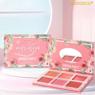 IGOODCO ( IG3699)ความหลากหลายของแผ่นดิสก์สีดวงตาเหมาะสําหรับ…