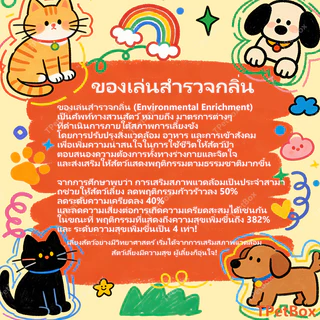 พร้อมส่ง! ของเล่นแมวรูปปลาหมึกขนกระต่ายแท้ จำลองสมจริง เสริมพัฒนาการ แก้เบื่อ แมวเล่นเองได้ กระตุ้นสัญชาตญาณการล่า เหมาะสำหรับลูกแมว ทนทาน ปลอดภัย