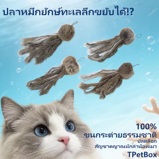 พร้อมส่ง! ของเล่นแมวรูปปลาหมึกขนกระต่ายแท้ จำลองสมจริง เสริมพัฒนาการ แก้เบื่อ แมวเล่นเองได้ กระตุ้นสัญชาตญาณการล่า เหมาะสำหรับลูกแมว ทนทาน ปลอดภัย