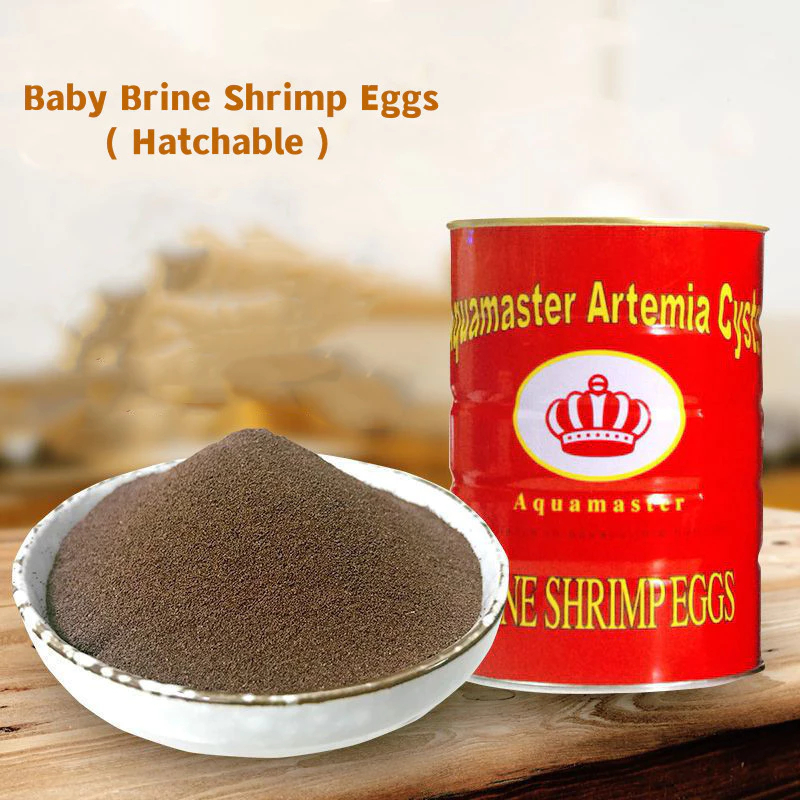 50g Aquamaster BBS Eggs (Bohai) Baby Brine ไข่กุ้ง (ฟักได้ )(ไข่ใหญ่สีน้ําตาล)