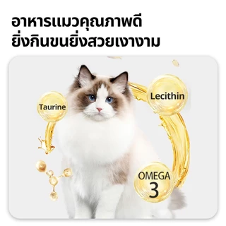 อาหารแมว 1.5กก. โฮลิสติก เกรนฟรี เกรดพรีเมี่ยม บำรุงขนและผิวหนัง อาหารแมวสำหรับแมวทุกช่วงวัย KWEI