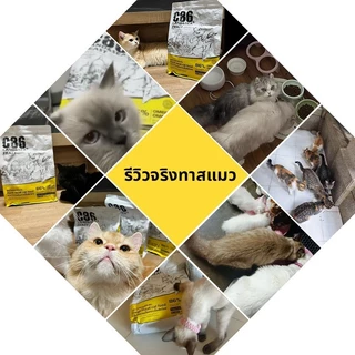 อาหารแมว 1.5กก. โฮลิสติก เกรนฟรี เกรดพรีเมี่ยม บำรุงขนและผิวหนัง อาหารแมวสำหรับแมวทุกช่วงวัย KWEI