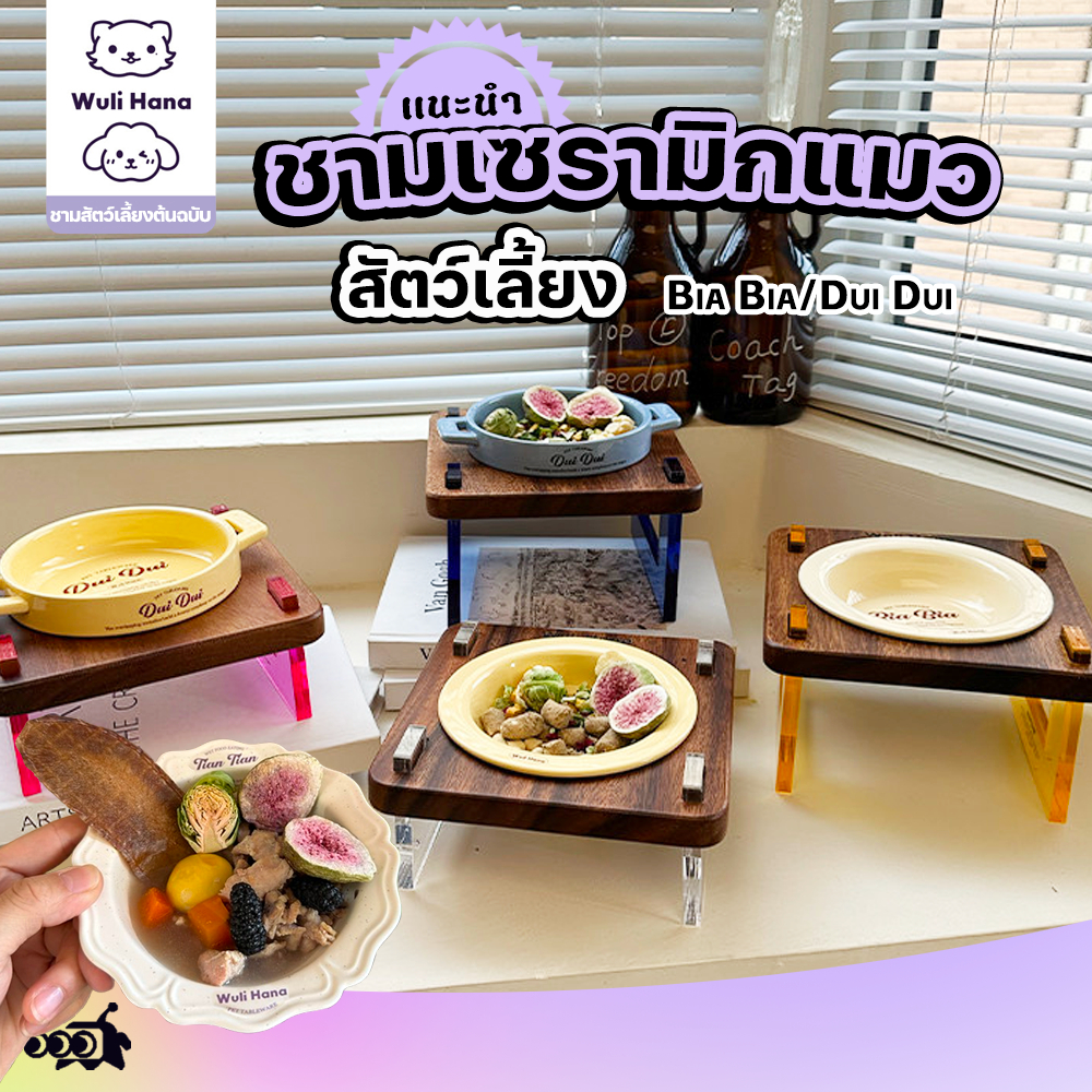 🔔ชามสัตว์เลี้ยงเซรามิกหูจับคู่ ดีไซน์ต้นแบบเฉพาะ WuliHana😻|BiaBia/DuiDui+ทำความสะอาดง่าย+สไตล์ไม่เหมือนใคร🥘