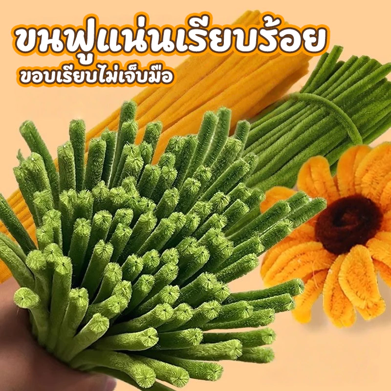 รูปภาพ 5