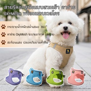 BELLA&PAL ชุดสายรัดพร้อมสายจูง สำหรับสุนัขและแมวขนาดเล็ก สาย…