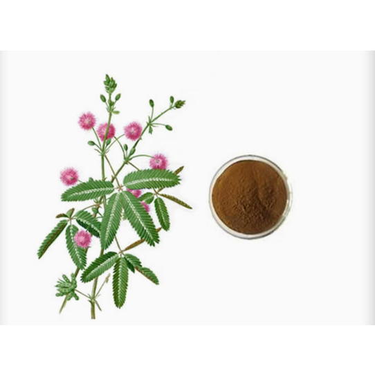100g Mimosa Hostilis Inner Root Bark Extract Powder 10:1