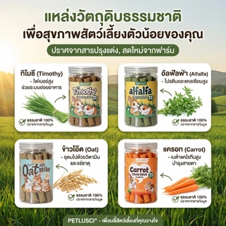 PETLUSCI หญ้าอัดแท่ง ทิโมธี โอ๊ต อัลฟัลฟ่า แครอท สำหรับลับฟัน กระต่าย แฮมเตอร์ หนูแกสบี้ สัตว์ฟันแทะ